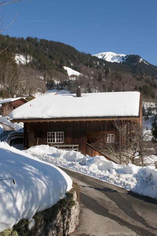 Haus Gerbi Apartment Hasliberg Bagian luar foto